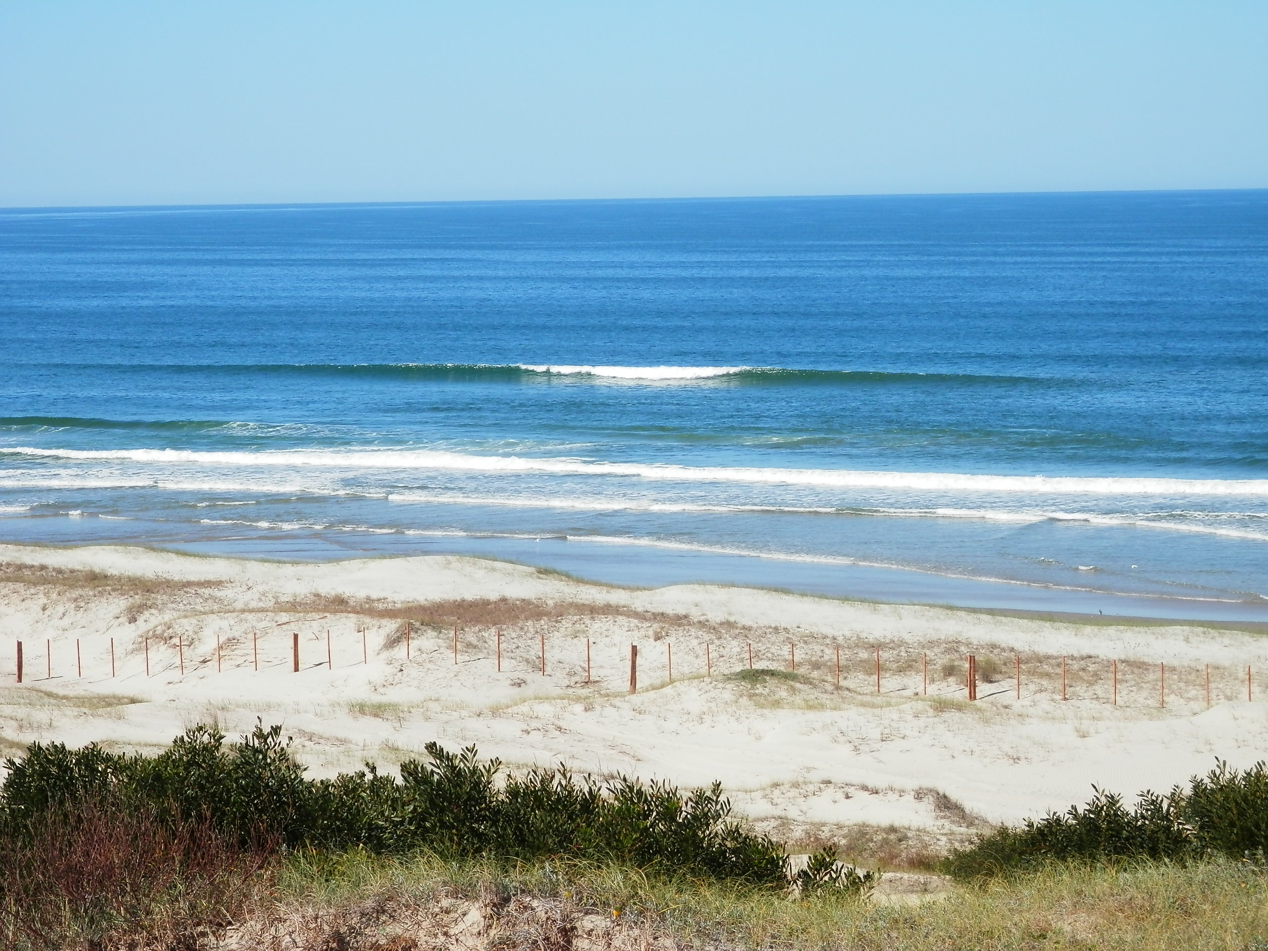 Top 5 Best Farmlands For Sale In Uruguay • Terramar Farmlands